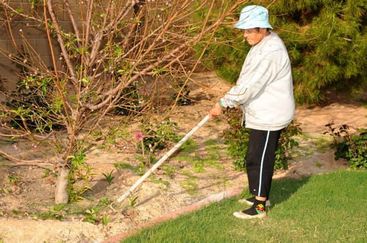 A Senior woman tending to a garden