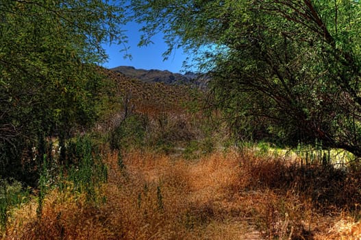 Bleak and desolate desert mountain in Arizona