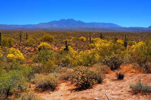Four peaks desert mountains in Arizona