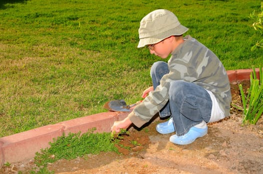 Young boy pulling weeds in a garden