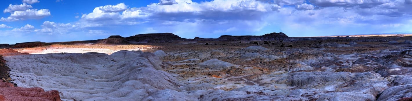 Panorama of the petrified forest in Arizona