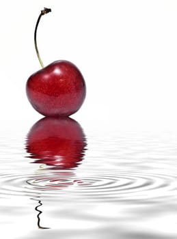Fresh cherry on a white background and reflected on water.