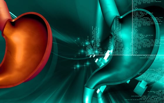 Digital illustration of stomach in colour background