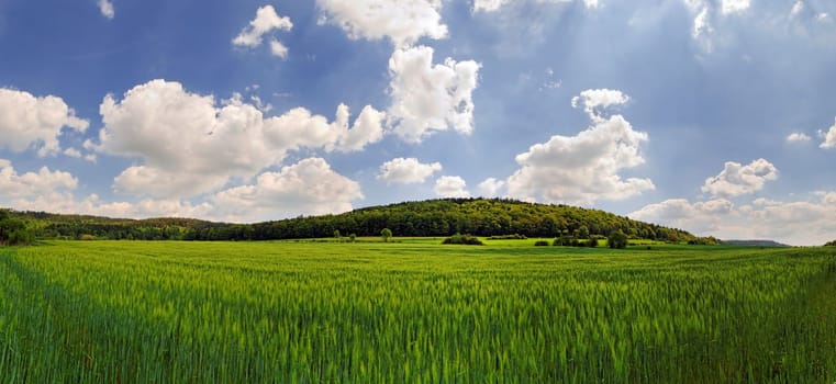 Gerstenfeld bei Berching,Bayern,Germany
