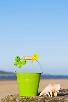 Enjoying the fun of summer holidays at the beach near the ocean. With room for your text.