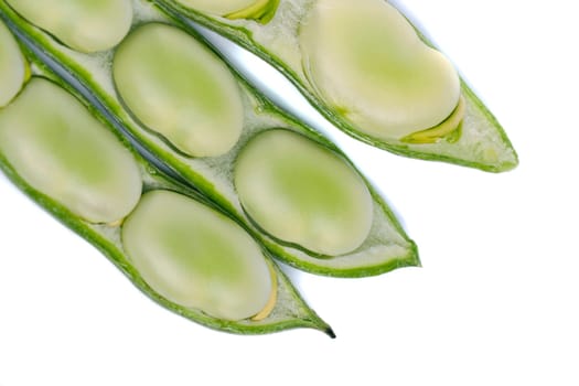 Close up view of some broad beans isolated on a white background.