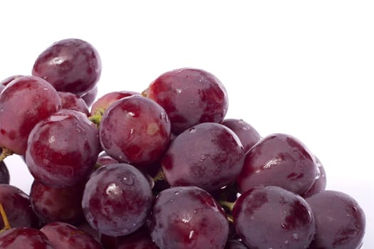 Close up view of some red wine grapes isolated on a white background.