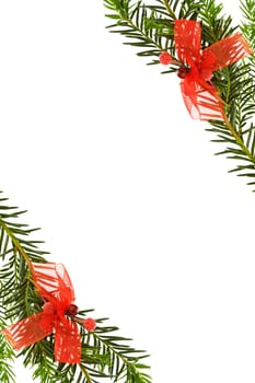 Christmas festive border with pine tree branches and red ribbons decorations. Isolated on white background.