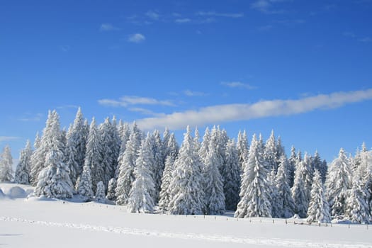 winter or winter snow or winter ice or winter deep snow