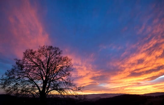 sunset or (sunset beach) or (sunset nature) or (sunset skyline)