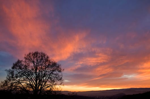 sunset or (sunset beach) or (sunset nature) or (sunset skyline)