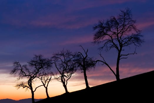 sunset or (sunset beach) or (sunset nature) or (sunset skyline)