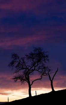 sunset or (sunset beach) or (sunset nature) or (sunset skyline)