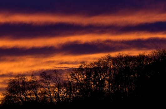 sunset or (sunset beach) or (sunset nature) or (sunset skyline)
