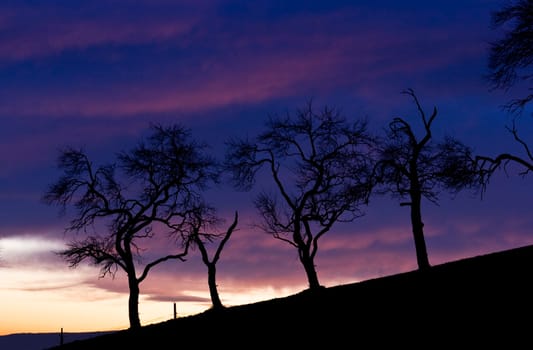 sunset or (sunset beach) or (sunset nature) or (sunset skyline)