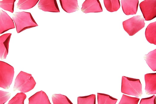 Flower frame