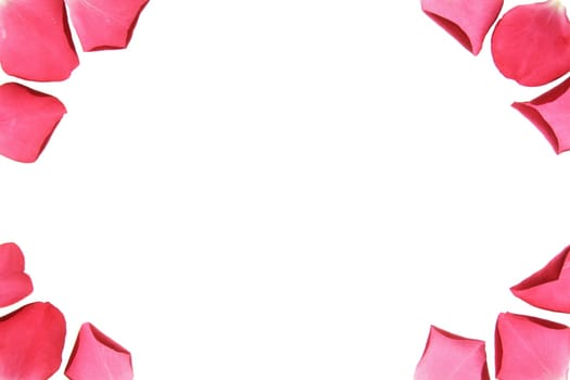 Flower frame