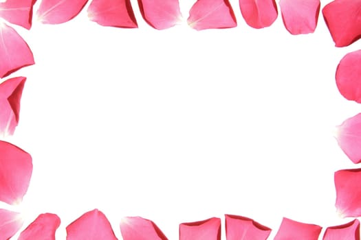 Flower frame