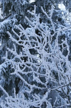 Winter weather