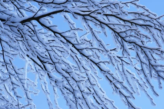 Winter weather