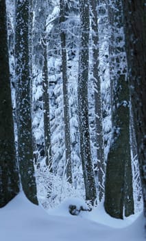 Winter weather