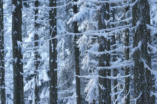 Winter weather