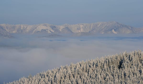 Winter weather