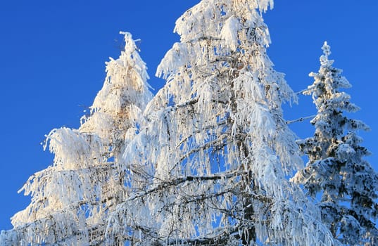Winter weather