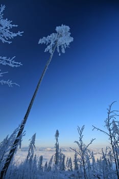 Winter weather