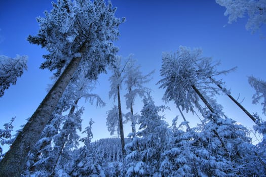 Winter weather