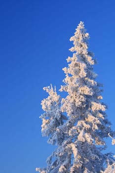 Winter weather