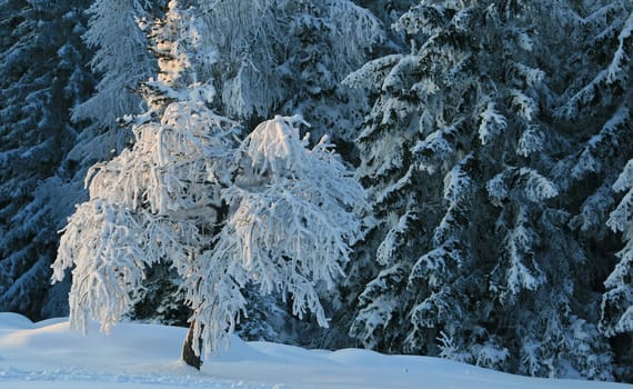 Winter weather