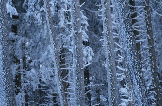 Winter weather