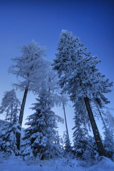 Winter weather
