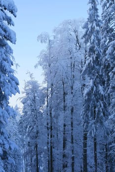 Winter weather