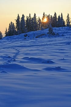 Sunset in the Alps