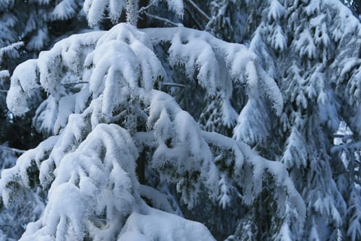 Winter weather