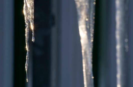 Icicle