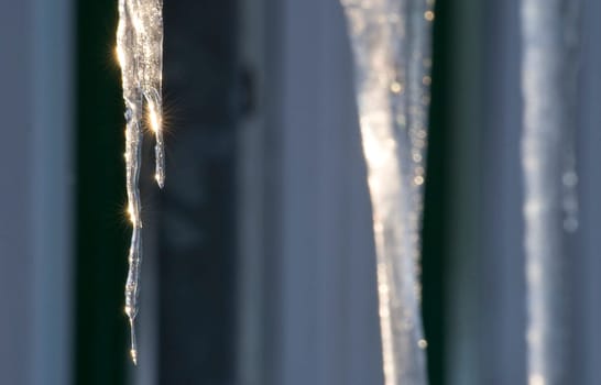 Icicle
