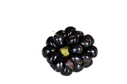 Fresh blackberries,cut-out