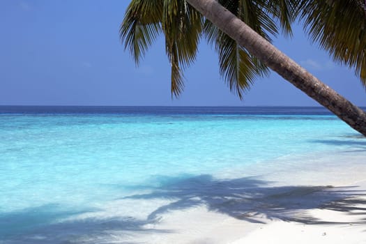 Dream beaches in the Maldives