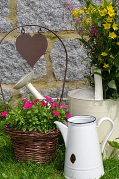 Garden Decoration Pot Flowers