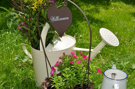 Garden Decoration Pot Flowers