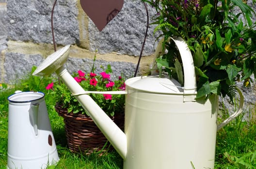 Garden Decoration Pot Flowers