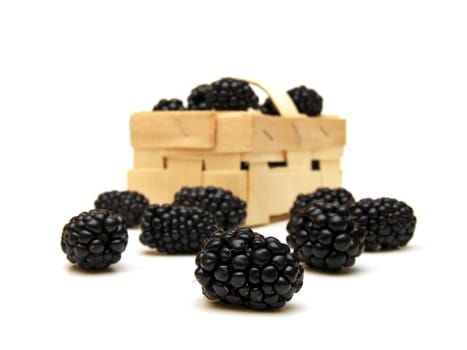 a heap of blackberries (Rubus sectio Rubus)