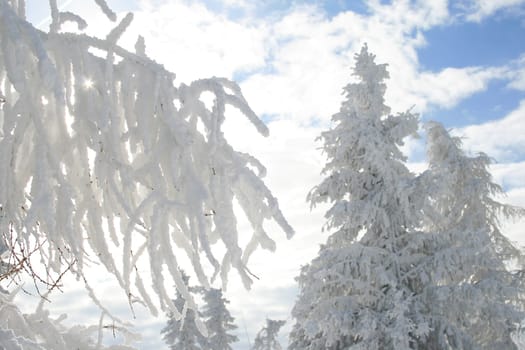 Snow in the Alps