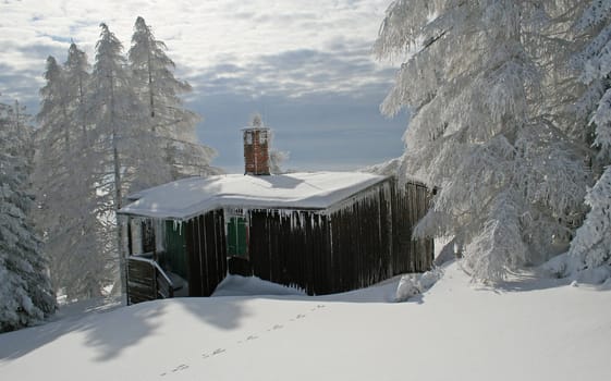 Snow in the Alps