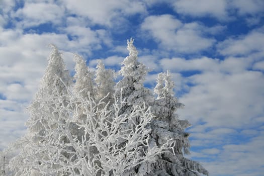 Snow in the Alps