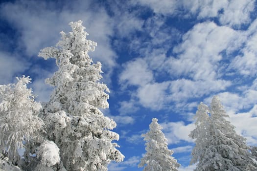 Snow in the Alps