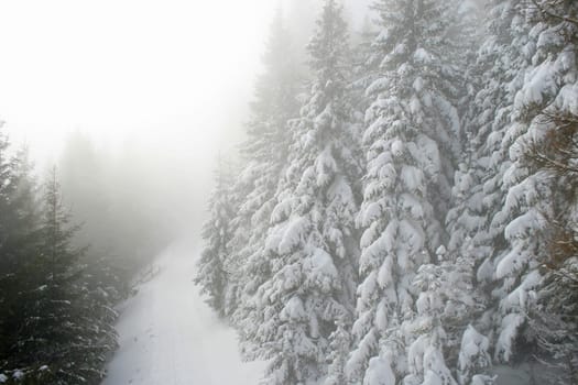 Snow in the Alps